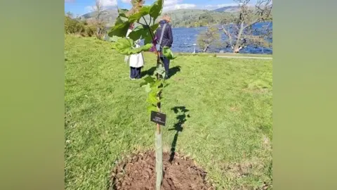 Green leaves of a sapling are in the foreground. In the background there is a lake and green rolling hills, a blue sky with white clouds. Behind the sapling there are two people, both wearing long coats, looking away from the camera.