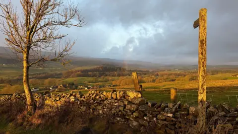 BBC Weather Watchers/Toby the Gardener A valley of fields cast in a yellow light. There is a stone wall in the foreground with a skinny tree without leaves to the left. There is a wooden direction pole on the right. The sky is mostly covered in clouds with some light blue sky peeking through.