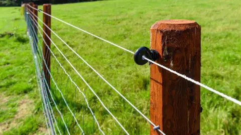 An electric fence