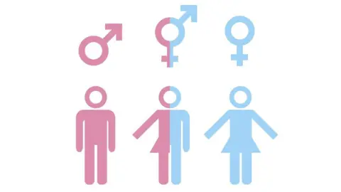 BBC Transgender graphic