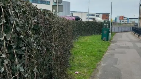 Swansea council Living screens aimed at reducing air pollution