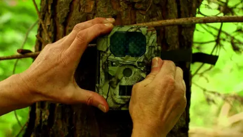 Laura Degnan A camera trap attached to a tree trunk