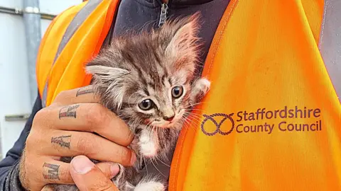 Staffordshire County Council Sam Ward, pictured with one of the kittens