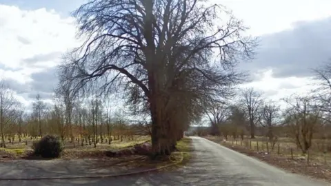 The Avenue, in Longparish