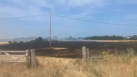 Matt Gooch Burnt grassland at Carlton Marshes Nature Reserve near Lowestoft, Suffolk