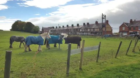 LDRS Grazing land at New Broughton