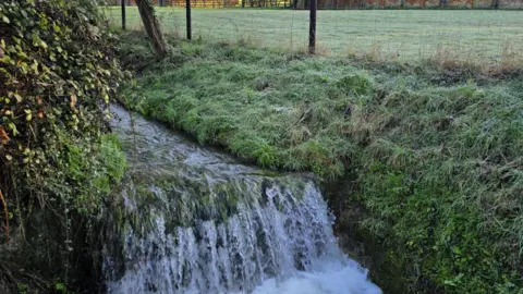 John Savage A stream of running water in the middle of a green field.