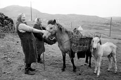 Getty Images Crofters and ponies