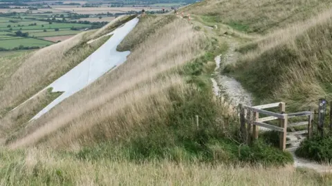 Tim Rubridge and English Heritage A side view of the Westbury White Horse
