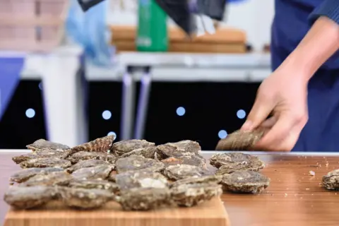 Stranraer Oyster Festival Oysters
