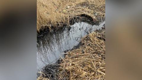 Oakley Vale Lake oil spill