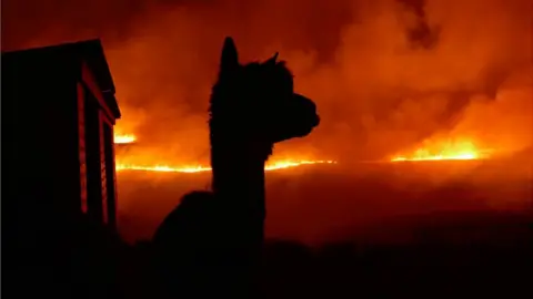 Joseph Bridgstock Marsden fire