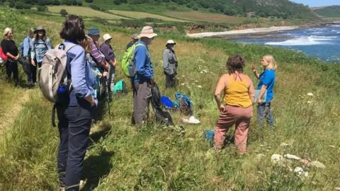 South Devon National Landscape Pollinator survey volunteers training at East Prawle