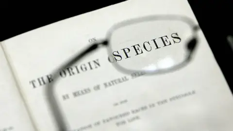 AFP Origin of Species cover