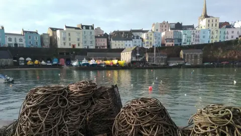 Tim James Tenby harbour