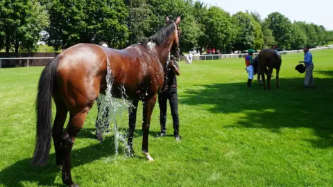 David Davies/PA A chestnut horse stands on grass at the racecourse, while two staff throw water over it. There is another horse and jockey further along.