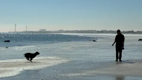 Claire Davidson A person walking along a wide sandy beach as a dog runs toward them near the water’s edge, with shimmering sea, distant shoreline, and wind turbines under a clear blue sky.