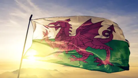 Getty Images Welsh flag