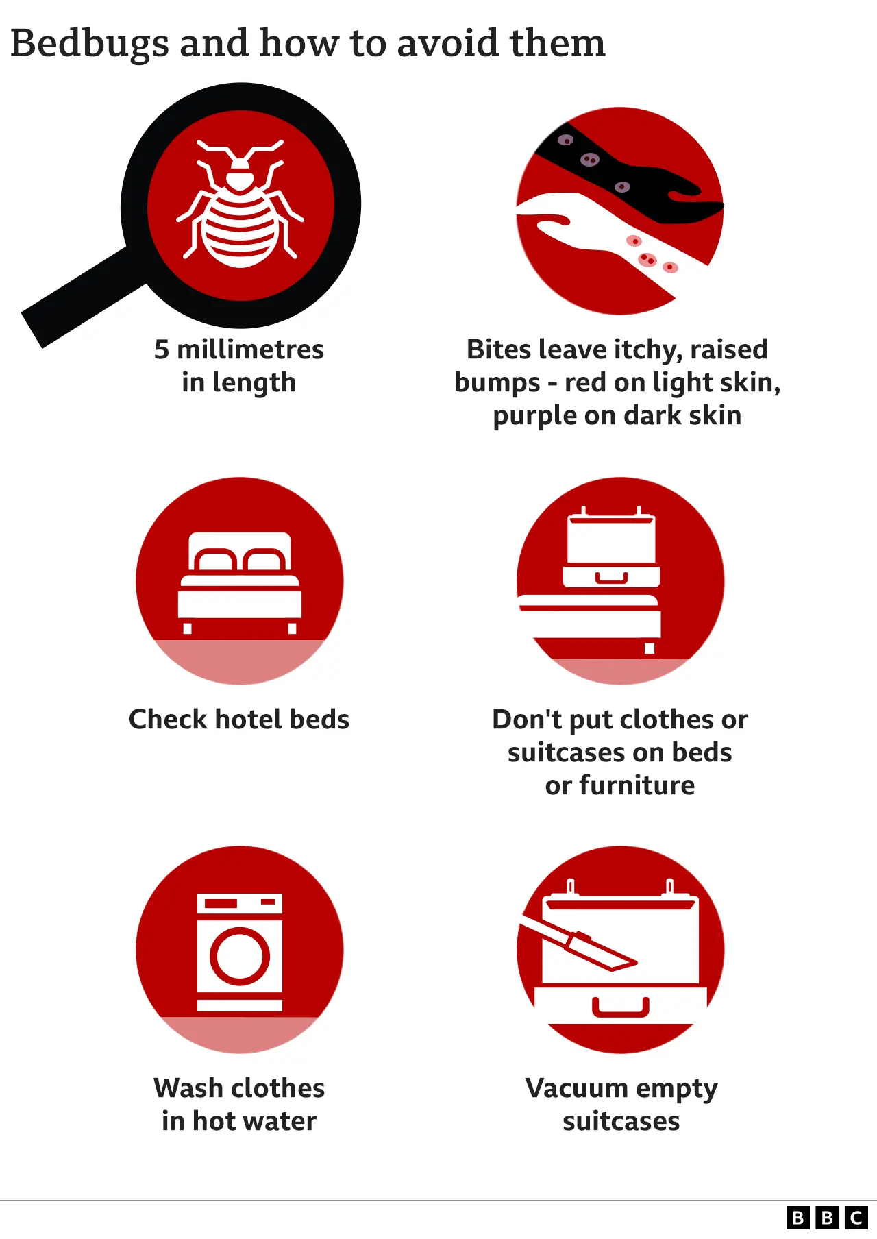 EPA Bedbugs and how to avoid them