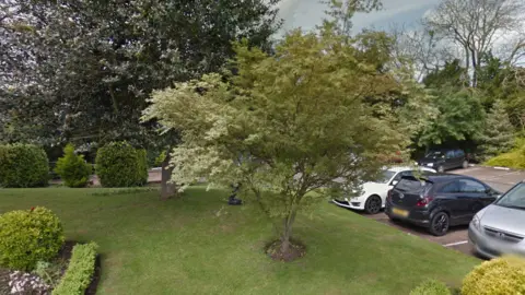 Google Memorial tree