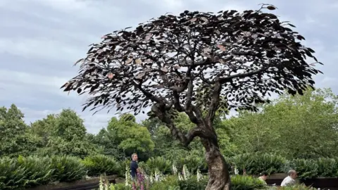 Andrew Moon/BBC The Serving Ace Meeting Tree sculpture at Wimbledon