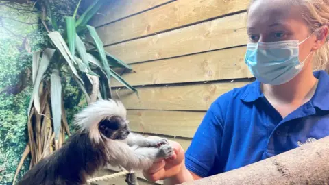 Lakeland Wildlife Oasis "Mr Spencer" and keeper Grace Jackson