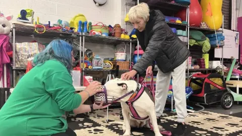 XL bully owners take up muzzle training in Milton Keynes