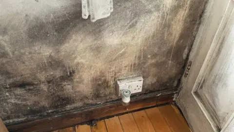 Mould on a wall