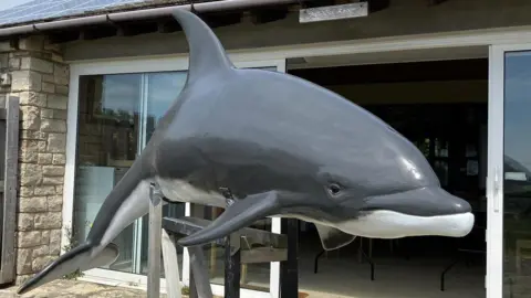 The restored dolphin sculpture on a stand in the open air. It's a life-sized grey and white bottlenose dolphin. Behind the sculpture is a single-storey building with a large set of patio doors. 