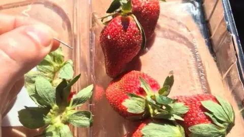 JOSHUA GANE A man holds a needle found in a punnet of strawberries