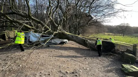 The crushed van under a tree