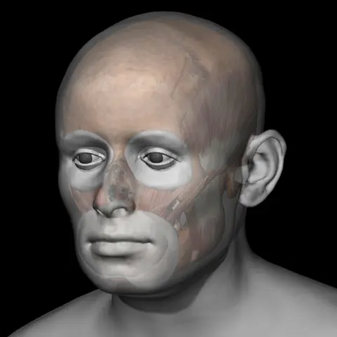 Dr Chris Rynn Facial reconstruction