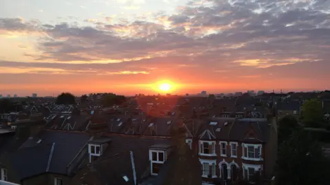 London houses at sunset