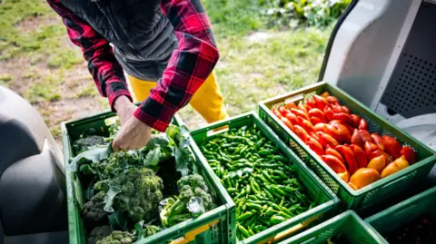 A farmer wearing a red and black check shirt, yellow trousers and a grey gilet, pictured from the neck down as he loads three large green trays of vegetables into the rear of a vehicle boot. There are broccoli, green beans and red peppers.