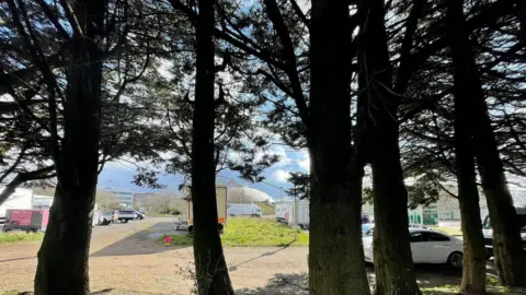 A picture taken from behind some large trees, behind them film trucks can be seen with the Oasis dome in the distance.