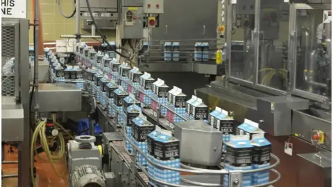 BBC A factory with a conveyor belt of blue and white checked, two litre Guernsey milk cartons.