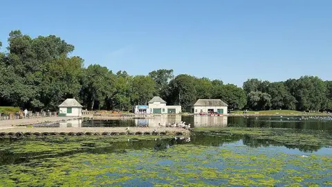 The boating lake in Blackpool's Stanley Park on a sunny day showing birds including swans 