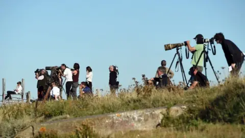 EPA Crowd looking for beluga whale