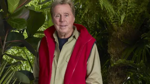 ITV Harry Redknapp