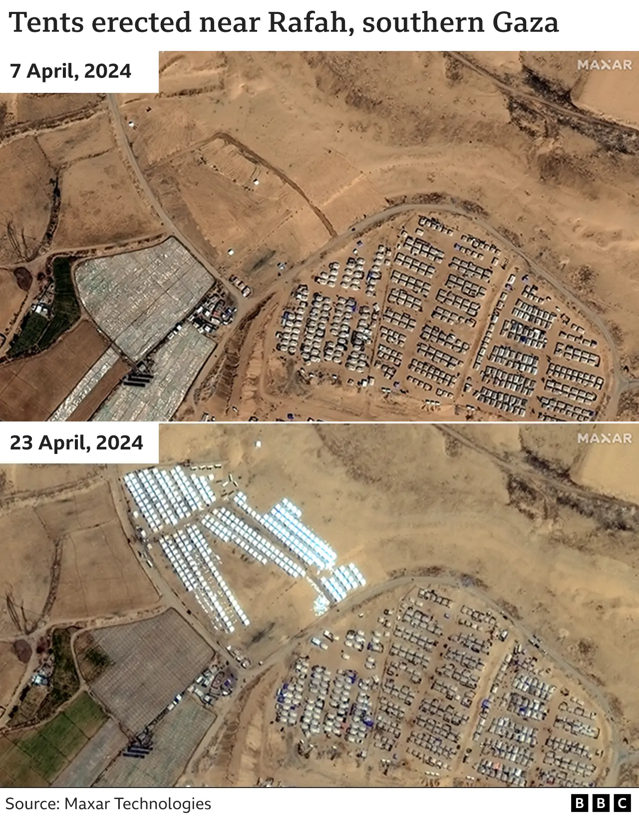 Rafah tents