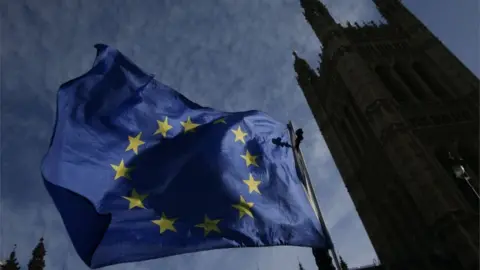 AFP EU flag outside UK Parliament