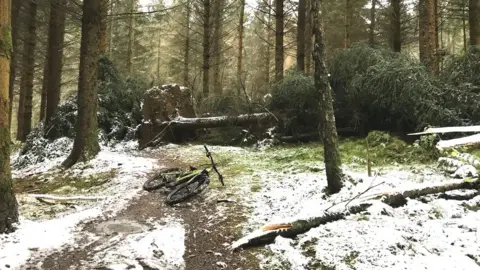 Forestry and Land Scotland Glentress route