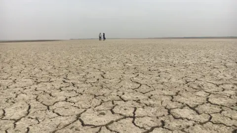 cracked and dry fields in Gujarat