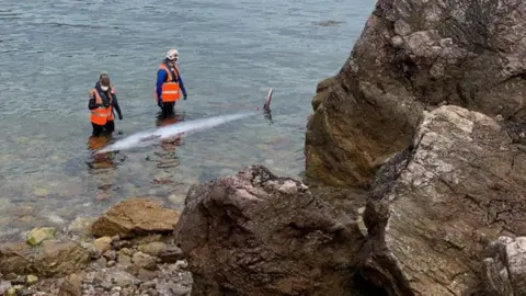 British Divers Marine Life Rescue Whale and volunteers