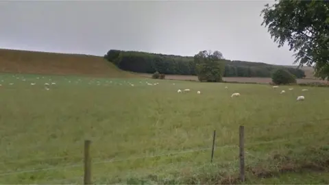 Google Sheep Wiltshire