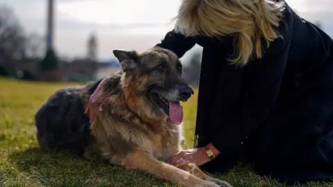 Reuters First Lady Jill Biden pets one of the family dogs, Champ, after his arrival from Delaware at the White House in Washington