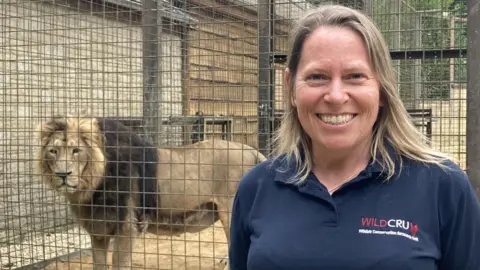 BBC Amy Dickman stood in front of a Lion in it's new enclosure