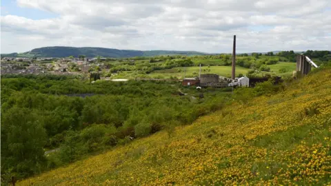 Liam Olds Wildflowers on a coal tip reclaimed by nature with colliery building in distance