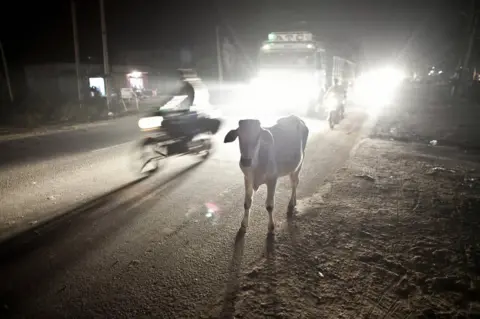 Getty Images A cow amid traffic on a road in India