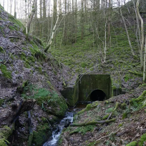 James Towill Ruxton remains site